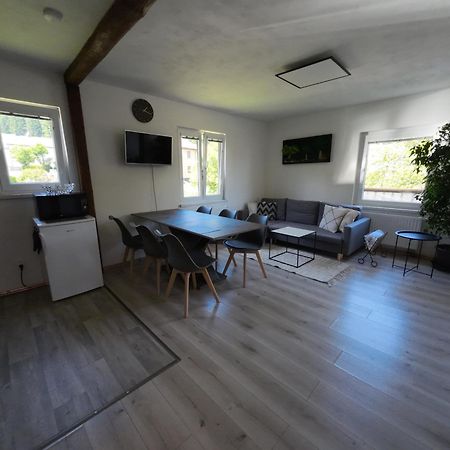 Apartman Andrea Loučovice Exterior foto